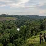 A documentary‑style scene of a tropical rainforest with a small cleared patch in the distance, showing the contrast between intact forest and deforestation pressure. A faint outline of Europe with subtle supply‑chain lines connects to the forest, while silhouettes of farmers and businesspeople meet at the forest edge, symbolizing cooperation on sustainable supply chains.